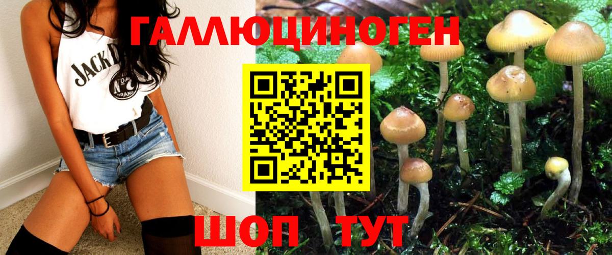 Галлюциногенные грибы прущие грибы Топки